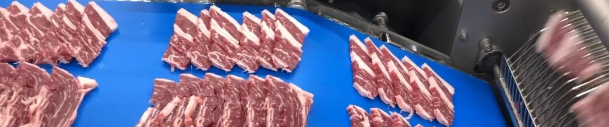 Sliced meat on conveyor AXY-201CE